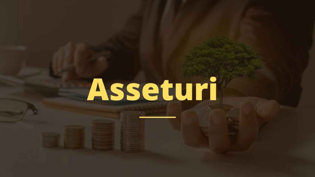 Asseturi