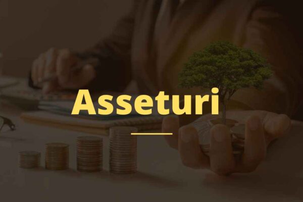 Asseturi